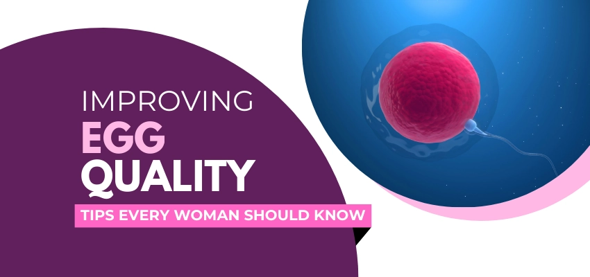 Improving Egg Quality Tips Every Woman Should Know